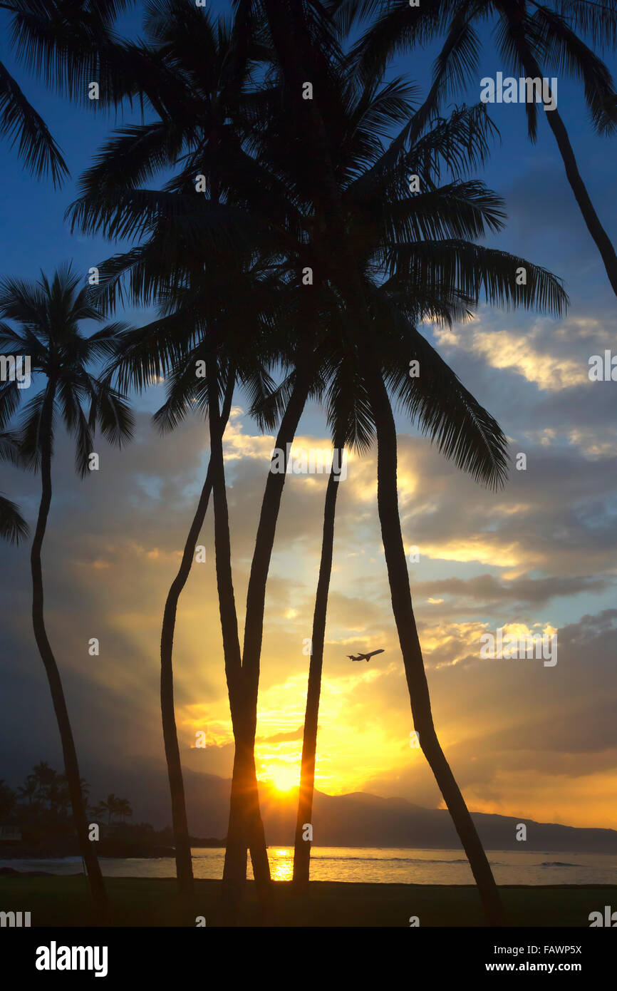 Avion décollant au coucher du soleil avec le soleil qui brille à travers les palmiers sur la côte nord de Maui Banque D'Images