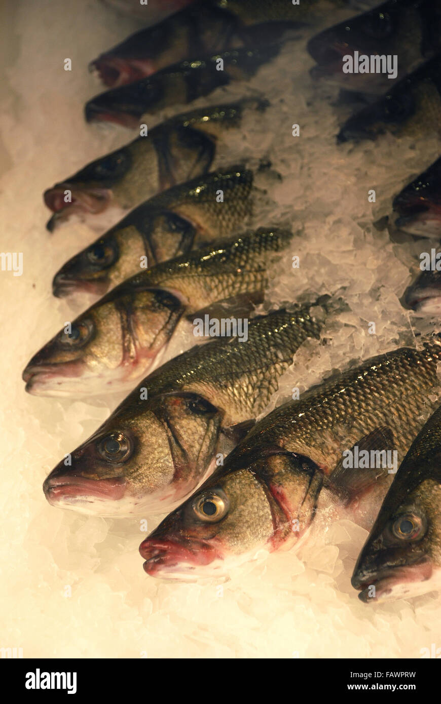 Poissons de mer en vente sur le marché local, Le Touquet, France Banque D'Images