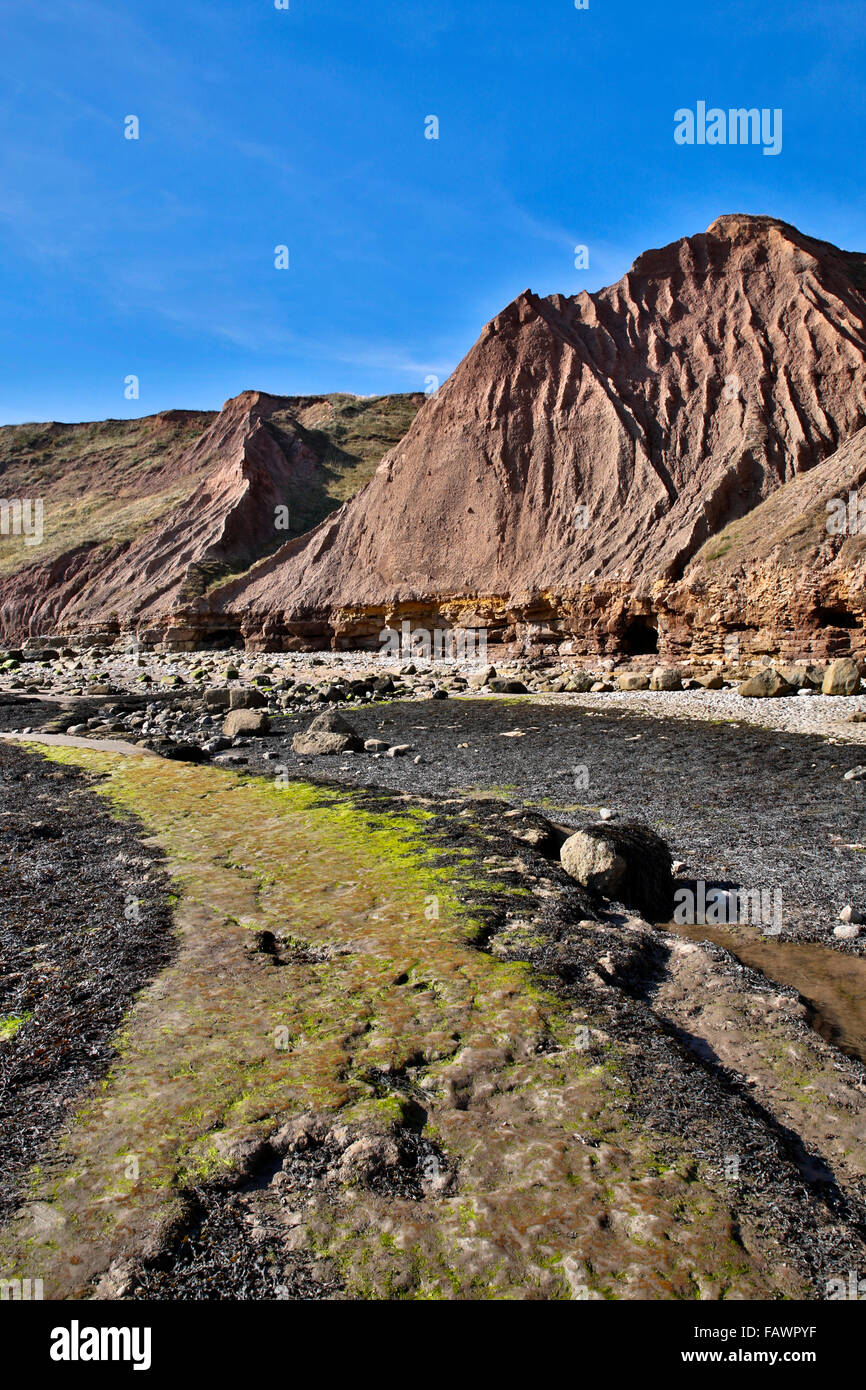 Filey Brigg, Yorkshire, UK Banque D'Images