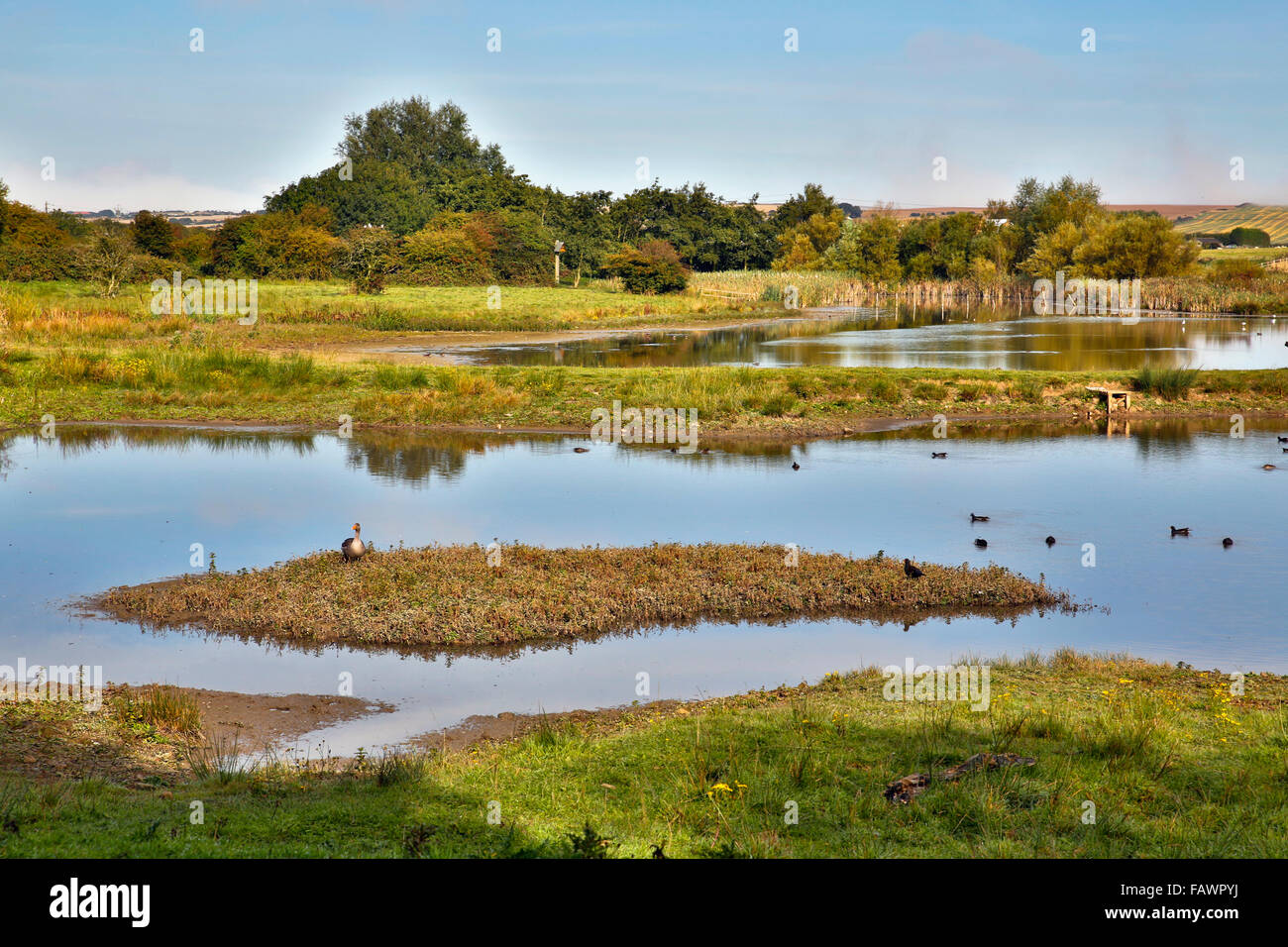 Filey barrages ; Yorkshire Wildlife Trust Réserver ; UK Banque D'Images