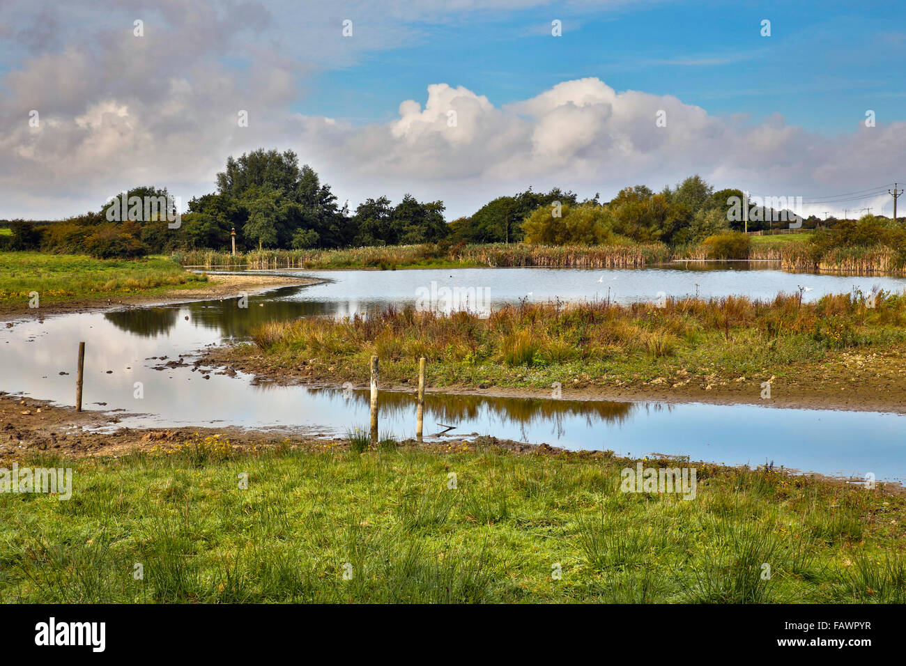 Filey barrages ; Yorkshire Wildlife Trust Réserver ; UK Banque D'Images