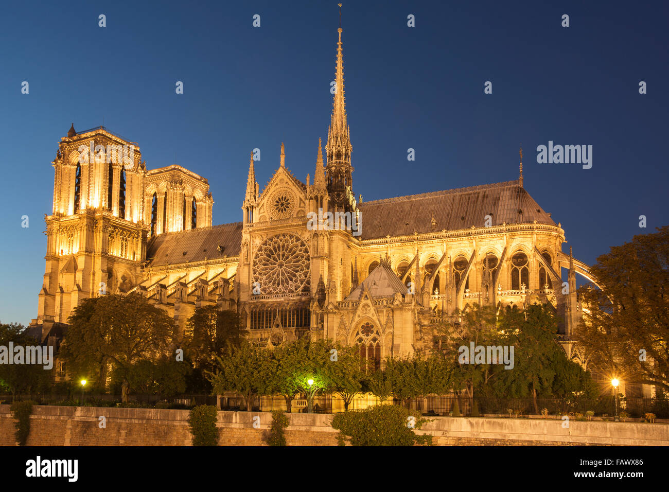 La Cathédrale Notre-Dame à la nuit ; Paris, France Banque D'Images