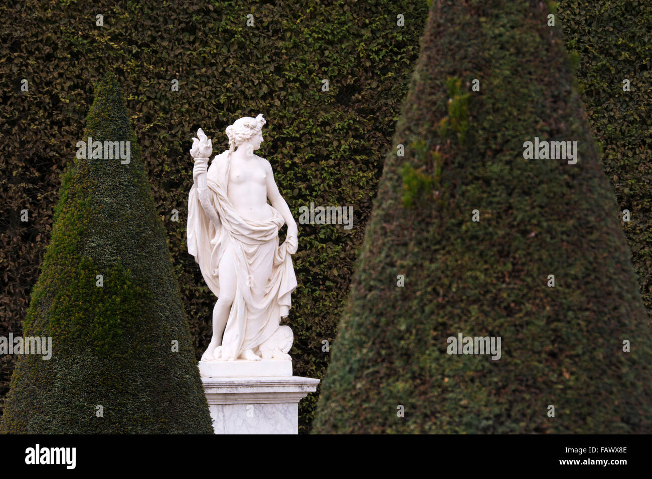 Une statue en marbre blanc est illustré contre le vert d'une haute haie dans les jardins de Versailles, Paris, France Banque D'Images
