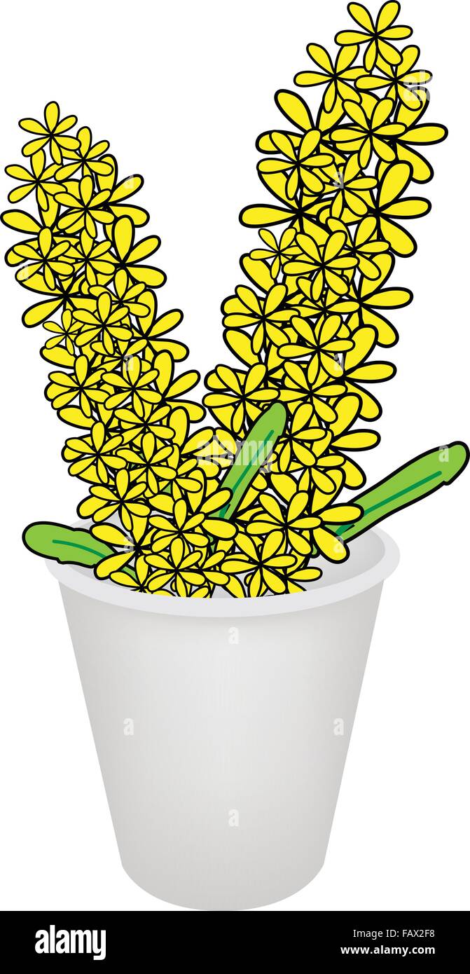 Un symbole de l'amour et le luxe, une illustration Magnifique orchidée jaune en cache-pot pour décoration de jardin, isolé sur un bac blanc Illustration de Vecteur