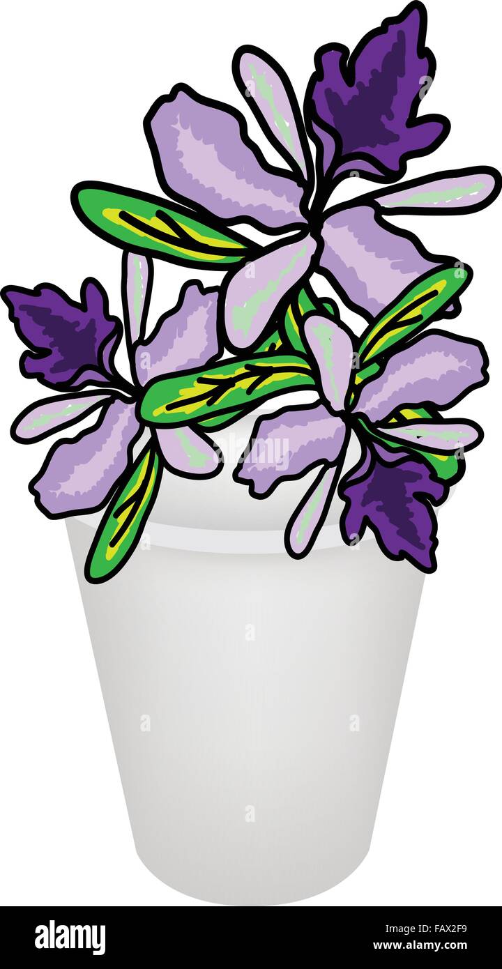 Un symbole de l'amour et le luxe, une illustration de belles orchidées Vanda rose en pot pour la décoration de jardin, isolé sur une brindille Illustration de Vecteur