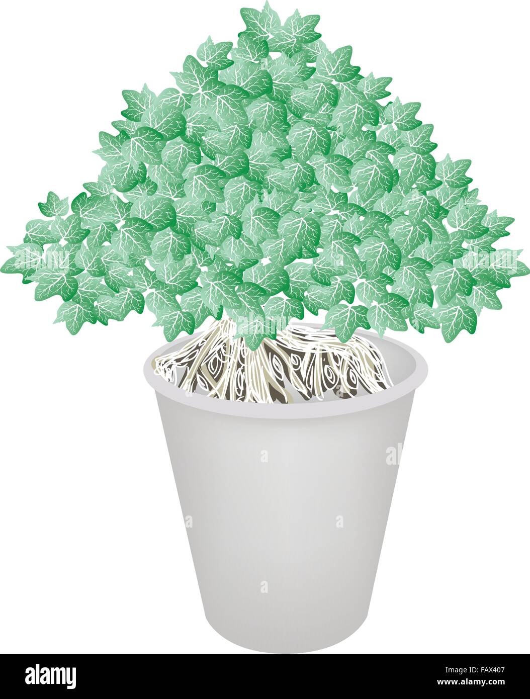 Une illustration de l'arbre exotique Bonsaï dans un pot de fleurs pour décoration de jardin Illustration de Vecteur