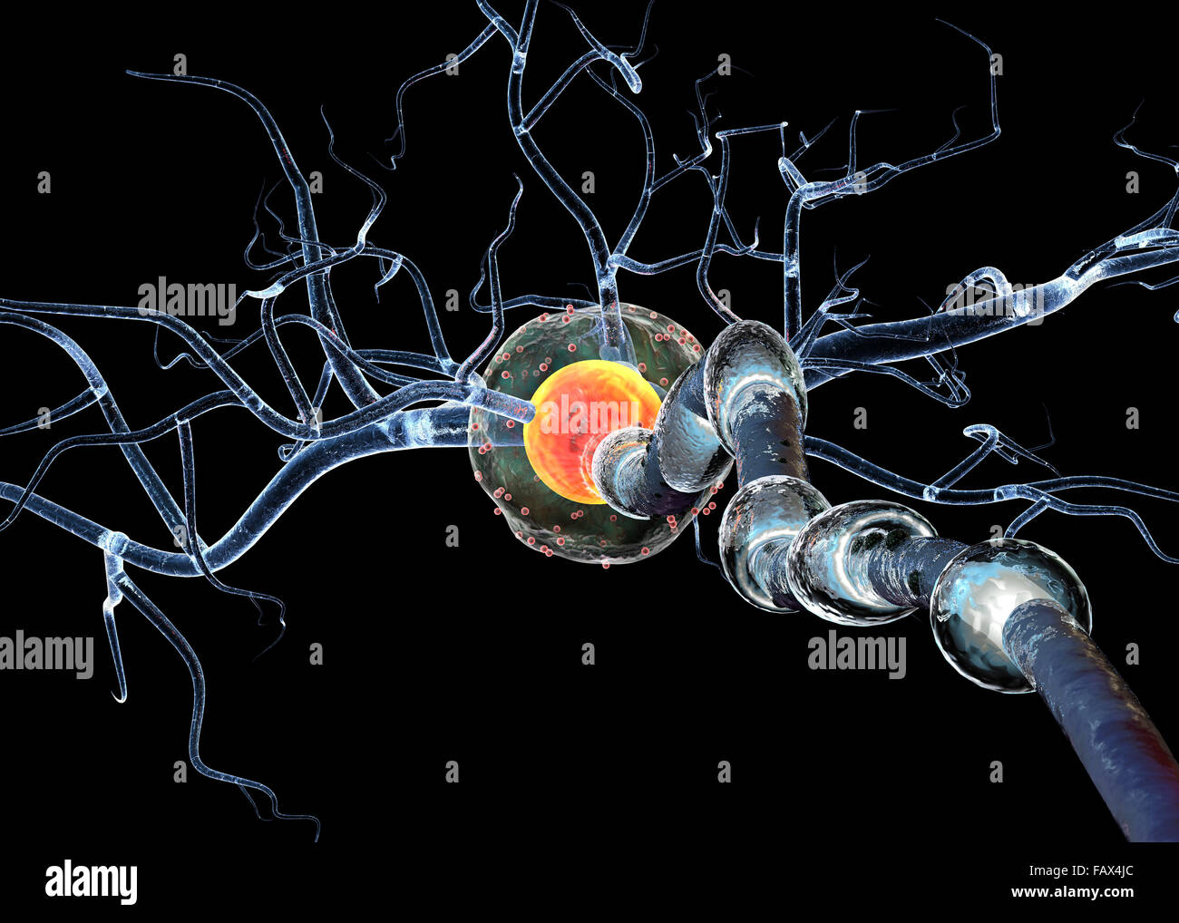 Les cellules nerveuses, concept pour les tumeurs, les maladies neurologiques et une chirurgie du cerveau. Banque D'Images