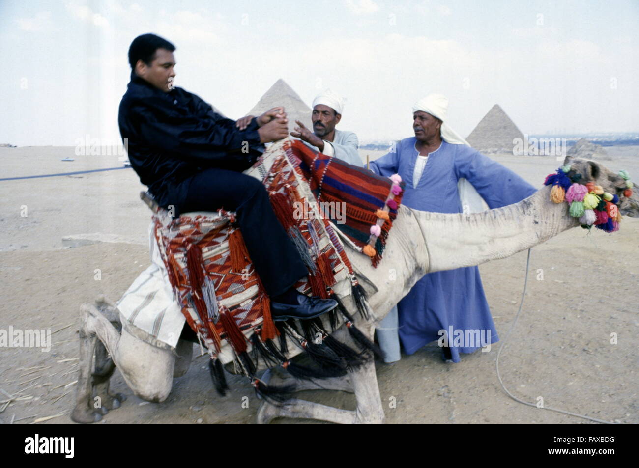 Pyramides de Gizeh, Le Caire, Égypte - 1986 - World Heavyweight Champion de boxe Muhammad Ali sur une visite en Egypte. Banque D'Images