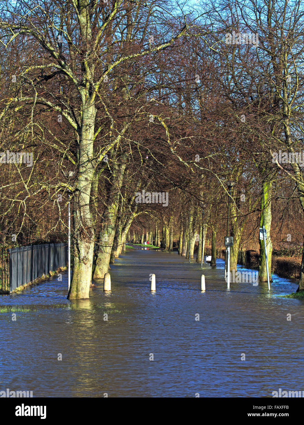 Un sentier à travers un parc sous l'eau d'inondation Banque D'Images