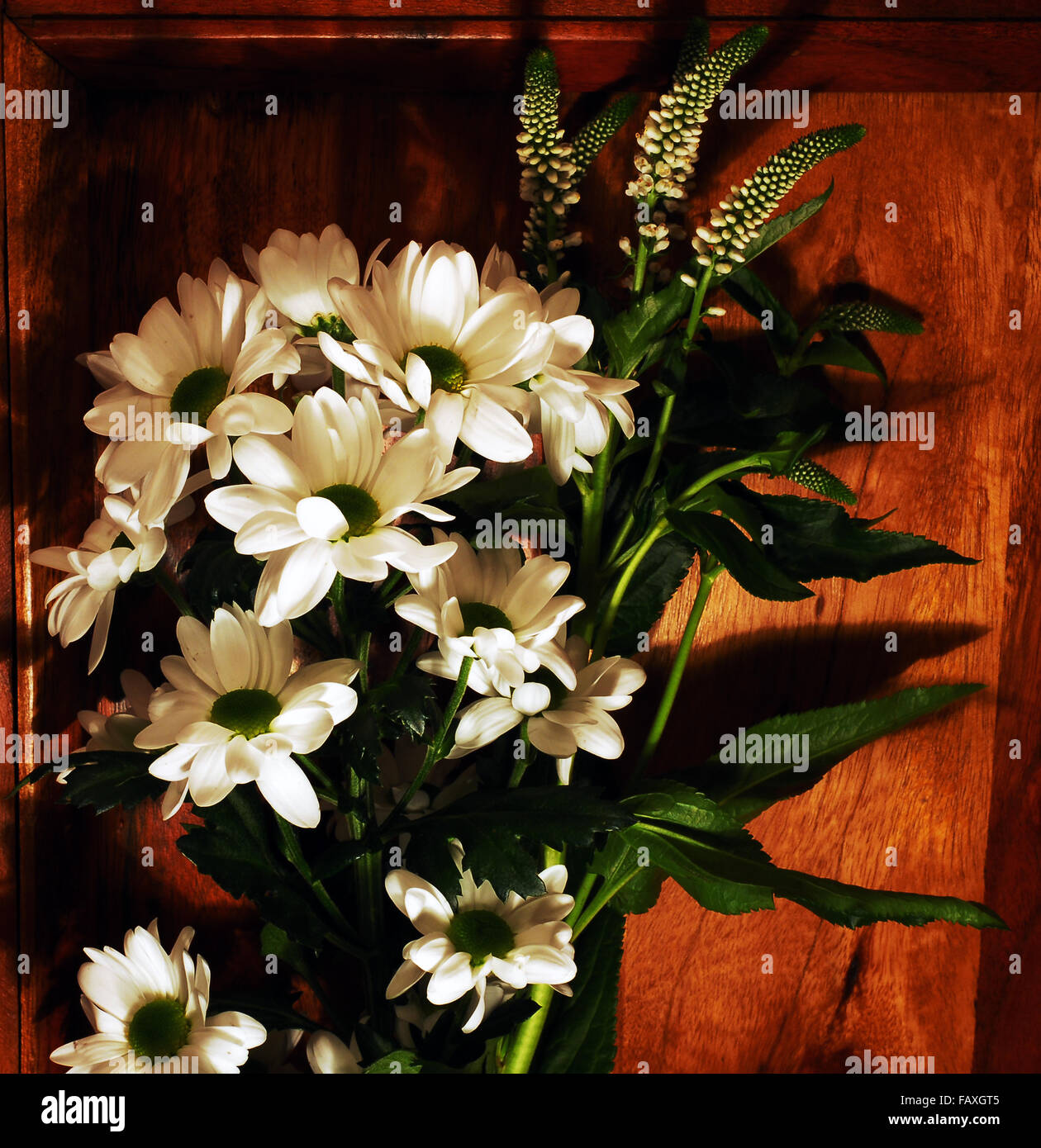 Fleurs blanc,bois,groupe,leafs,bouguet Banque D'Images