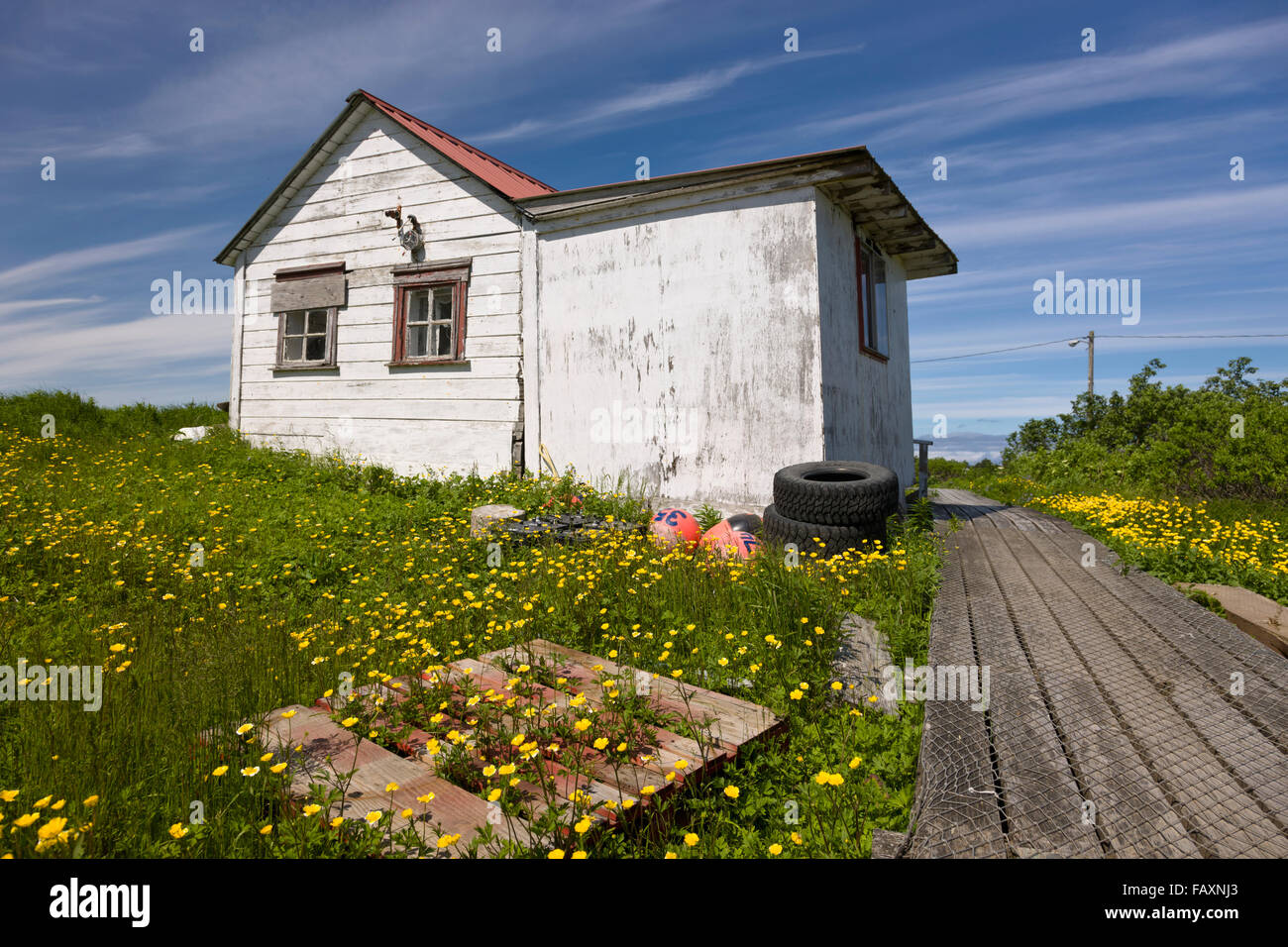 Une maison avec un toit en métal rouge et jaune des fleurs dans la cour, Sand Point, le sud-ouest de l'Alaska, USA, l'été Banque D'Images