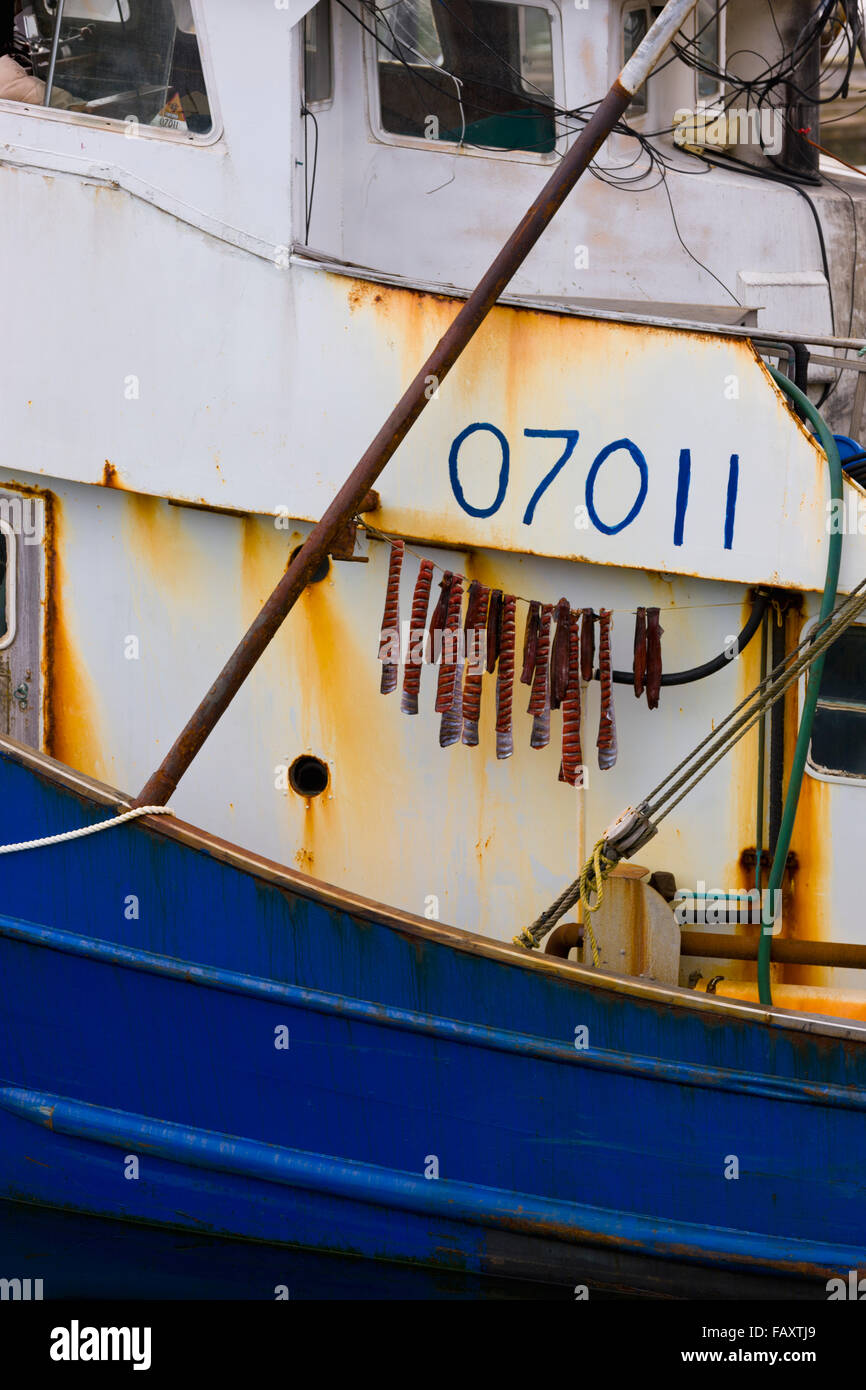 Bandes de pendre du saumon sur un séchage bateau de pêche commerciale, Sand Point Harbor, Sand Point, Popof Island, USA, l'été Banque D'Images