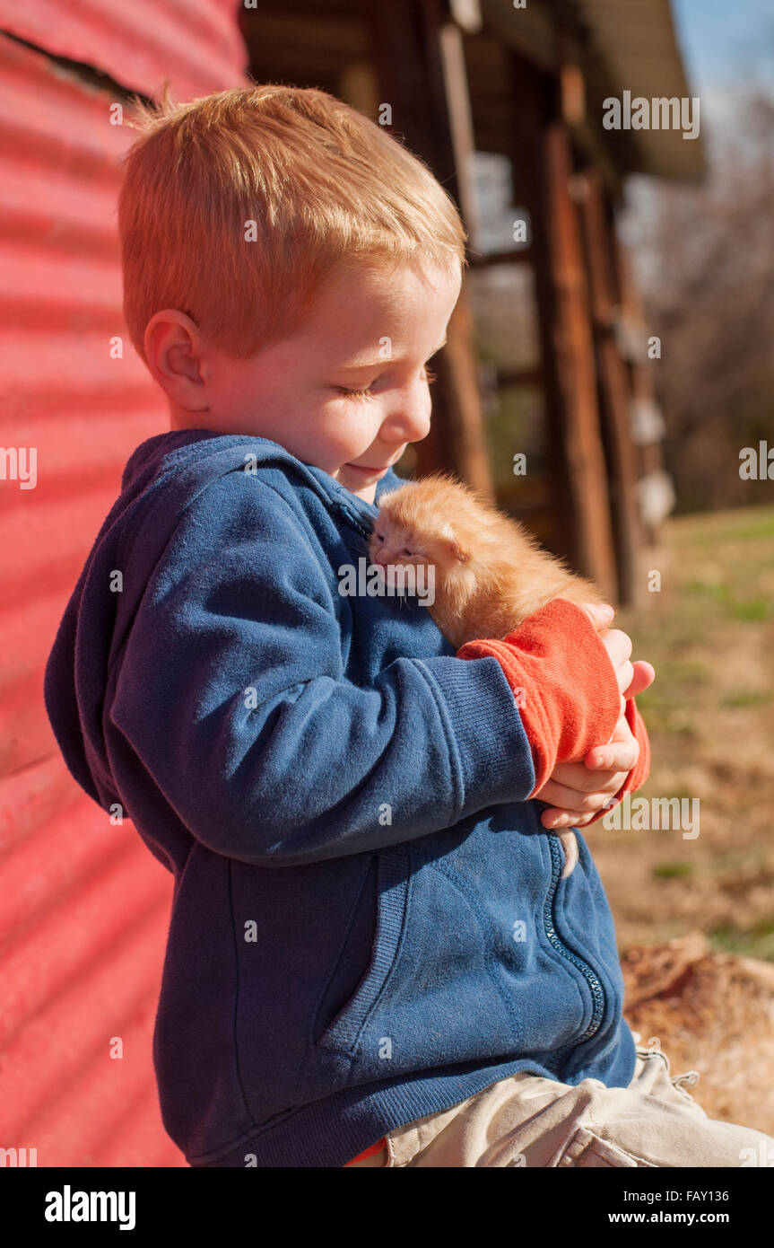 Smiling boy holding newborn kitten on farm Banque D'Images