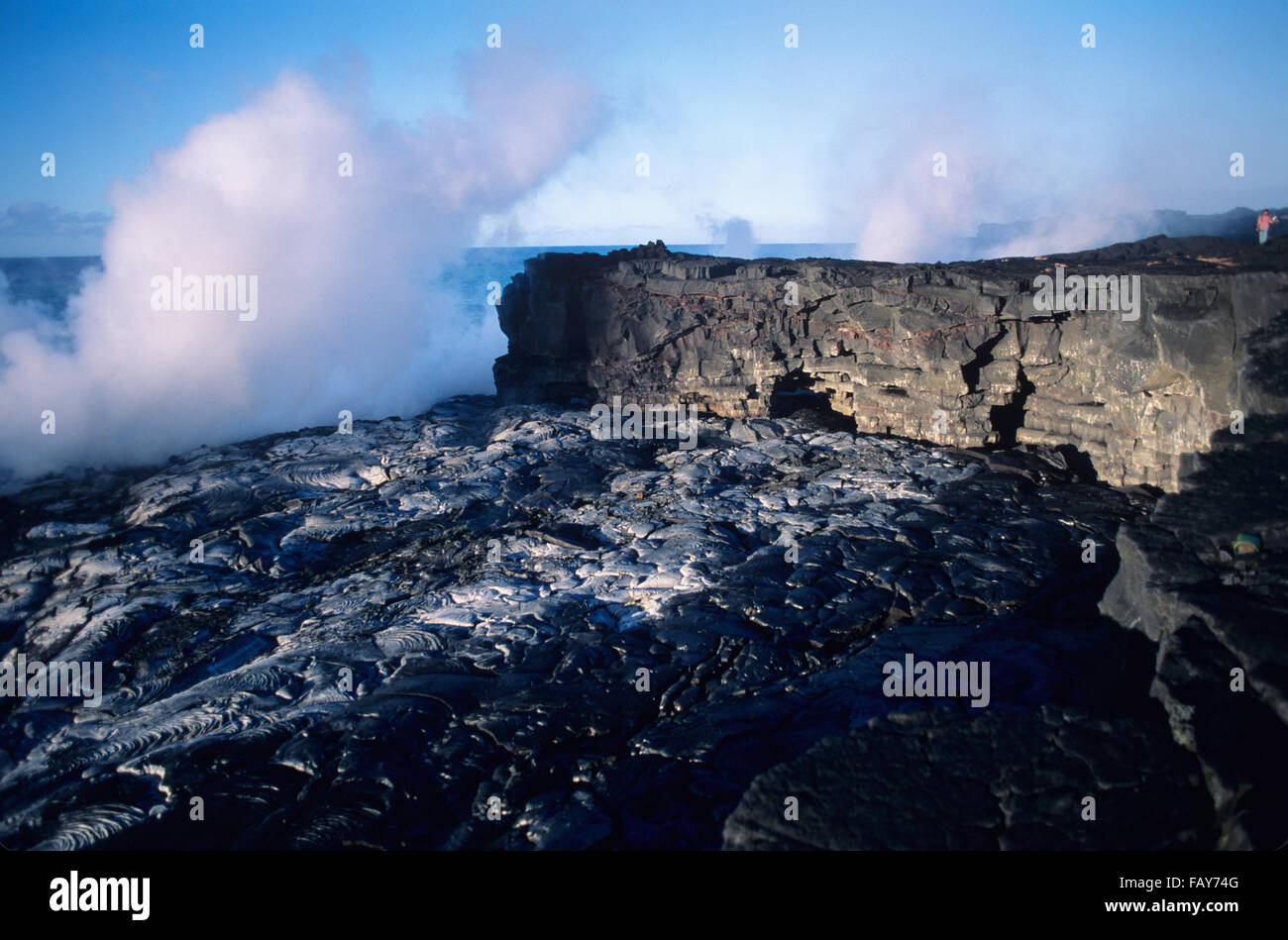 Big Island, Hawaii, Wilipe'a, Hawaii Volcanoes National Park, sur la côte de l'océan dans la lave Banque D'Images