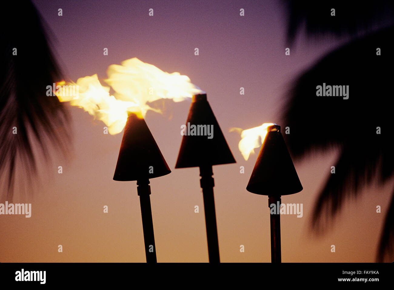 Big Island, Hawaii, Coucher De Soleil South Kohala Coast at Mauna Lani, close-up de torches Tiki Banque D'Images
