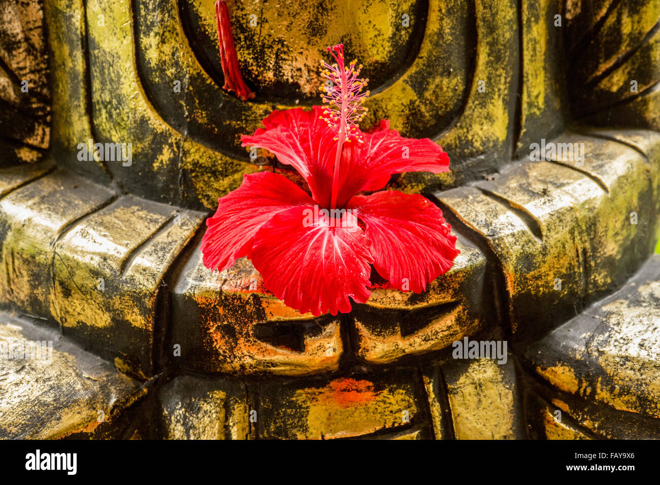 L'Indonésie, de Tejakula, Bali, Fleur d'Hibiscus sur Buddha statue Banque D'Images