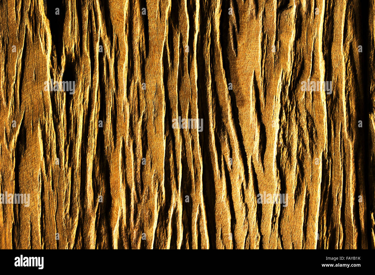 Résumé Le vieux bois en arrière-plan couleur or Banque D'Images