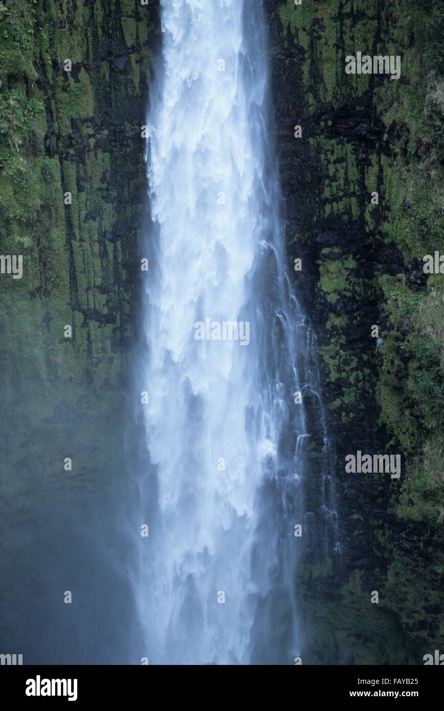 Big Island, Hawaii, 'Akaka Falls détail, cascade, ruisseau Kolekole Banque D'Images
