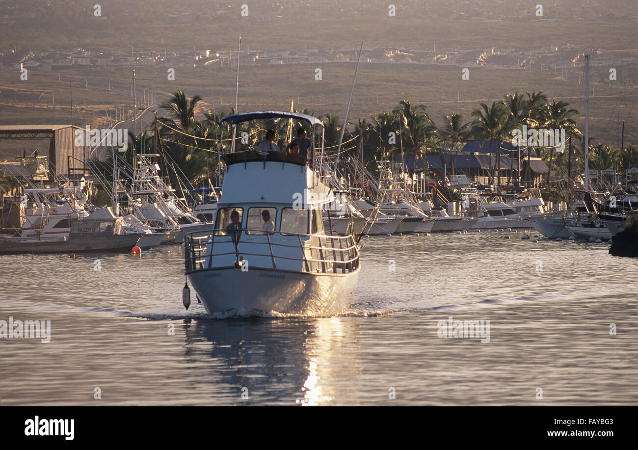 Big Island, Hawaii, Honokahau small boat harbour, Kailua-Kona, célèbre pour la pêche sportive/jeu Banque D'Images