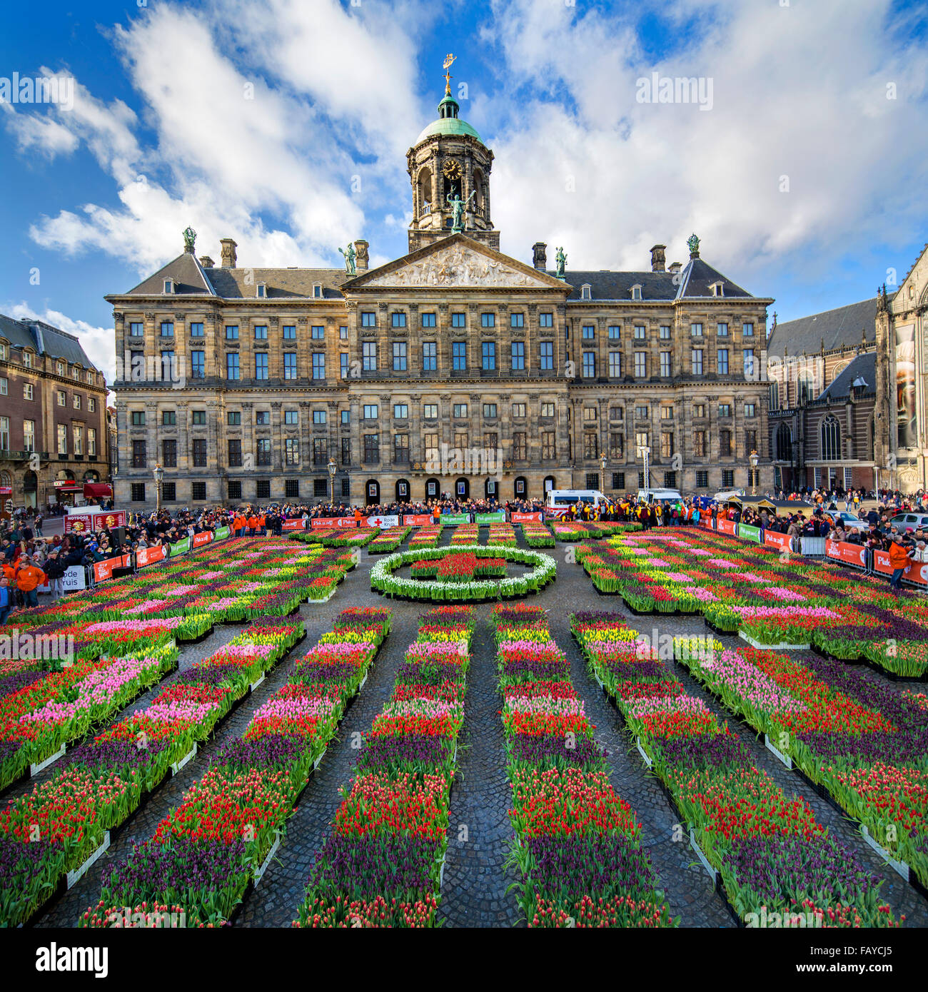 Pays-bas, Amsterdam, début de saison des tulipes. La Place du Dam. Palais  Royal. Les gens peuvent choisir les tulipes pour gratuitement. Journée  nationale Tulip Photo Stock - Alamy