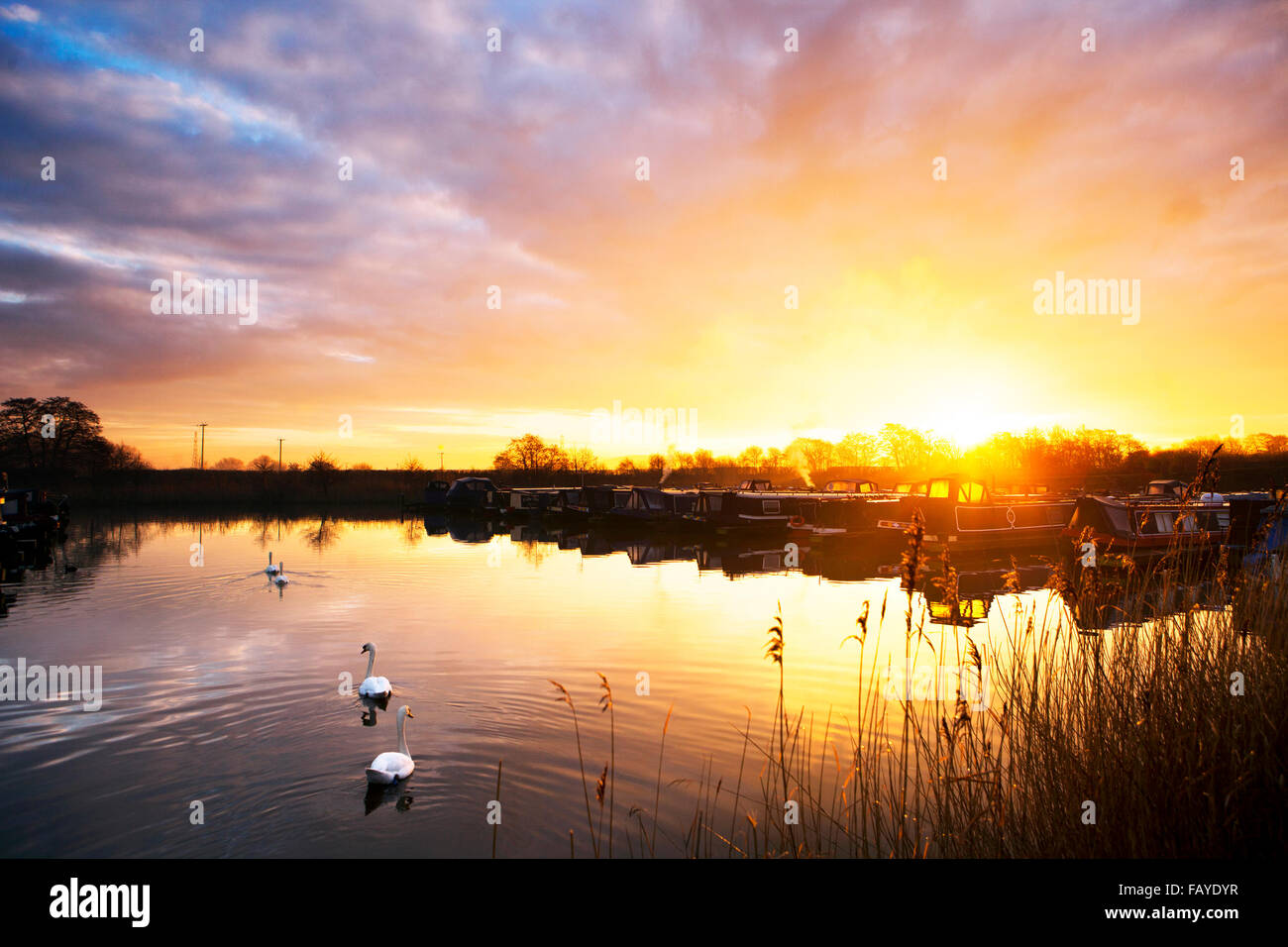 Météo Royaume-uni 06 Jan 2016. Aube sur péniche, Rufford, Lancashire, Royaume-Uni. L'ambre doux éclat de la Sunrise se déverse à travers les nuages teintés. Or brillant et orange hues bled comme du feu dans l'Est, les bateaux du canal de pâturage avec sa chaleur bienvenue. Credit : Cernan Elias/Alamy Live News Banque D'Images