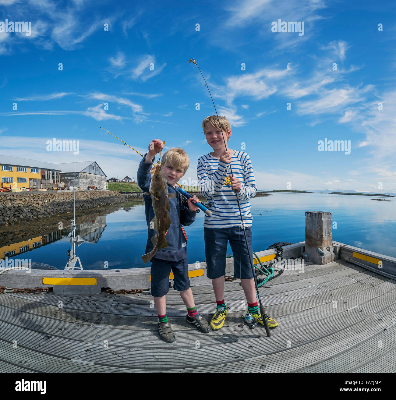 Les jeunes garçons brandissant une morue. La pêche au large de la jetée sur l'île de Flatey Breidafjordur, dans l'ouest de l'Islande Banque D'Images