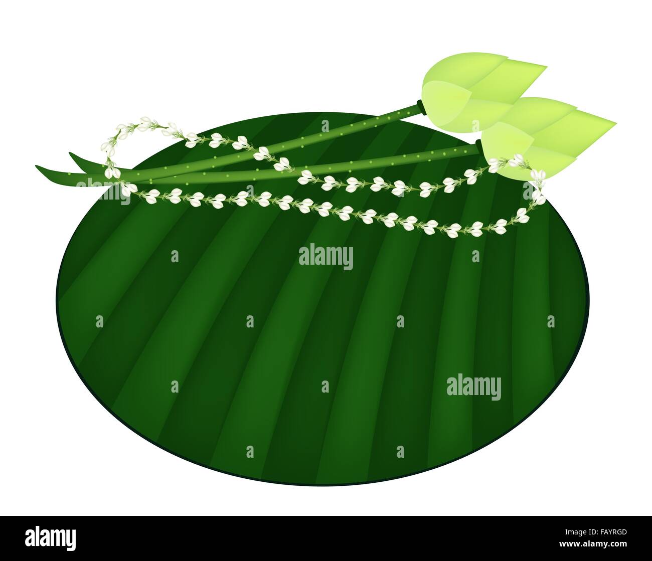 Beautidul fleur, une illustration de Jasmine Garland avec de Fleur de Lotus ou nénuphar sur des feuilles de banane verte Banque D'Images