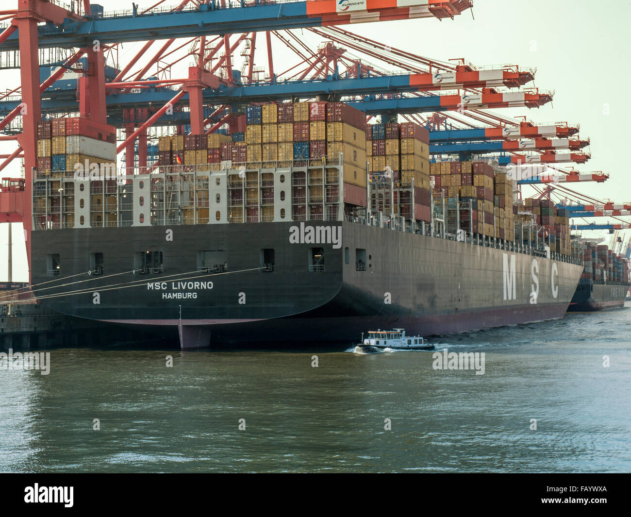 Conteneurs Livourne 'MSC' Eurogate accosté au terminal à conteneurs du port de Hambourg Banque D'Images