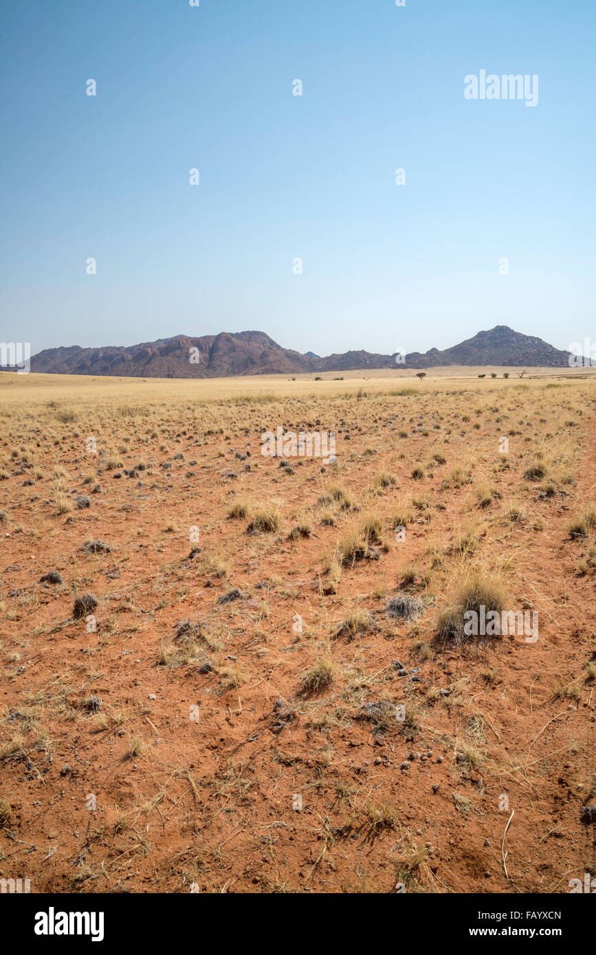 C'est une image paysage de Naukluft park en Namibie est près de Sossusvlei. c'est une région désertique et peu peuplée. Banque D'Images