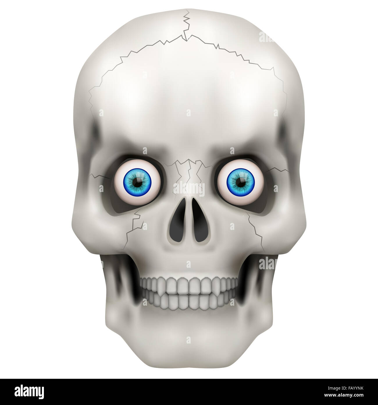 Crâne humain avec des yeux ouverts. Banque D'Images