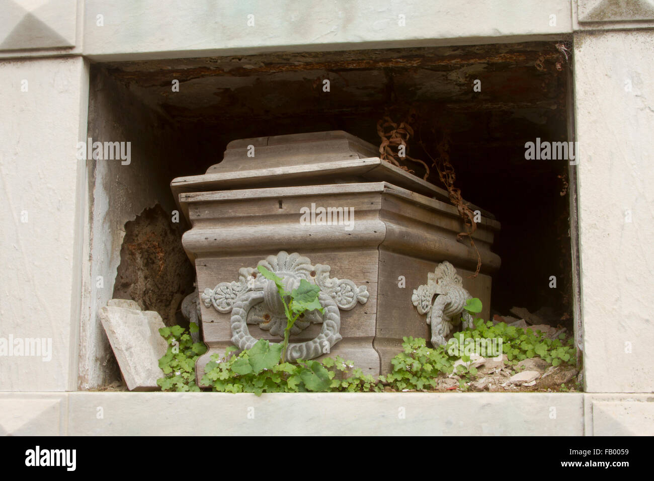 Cercueil en bois dans la crypte ouverte envahie par les mauvaises herbes dans le cimetière de Recoleta, Buenos Aires, Argentine. Banque D'Images