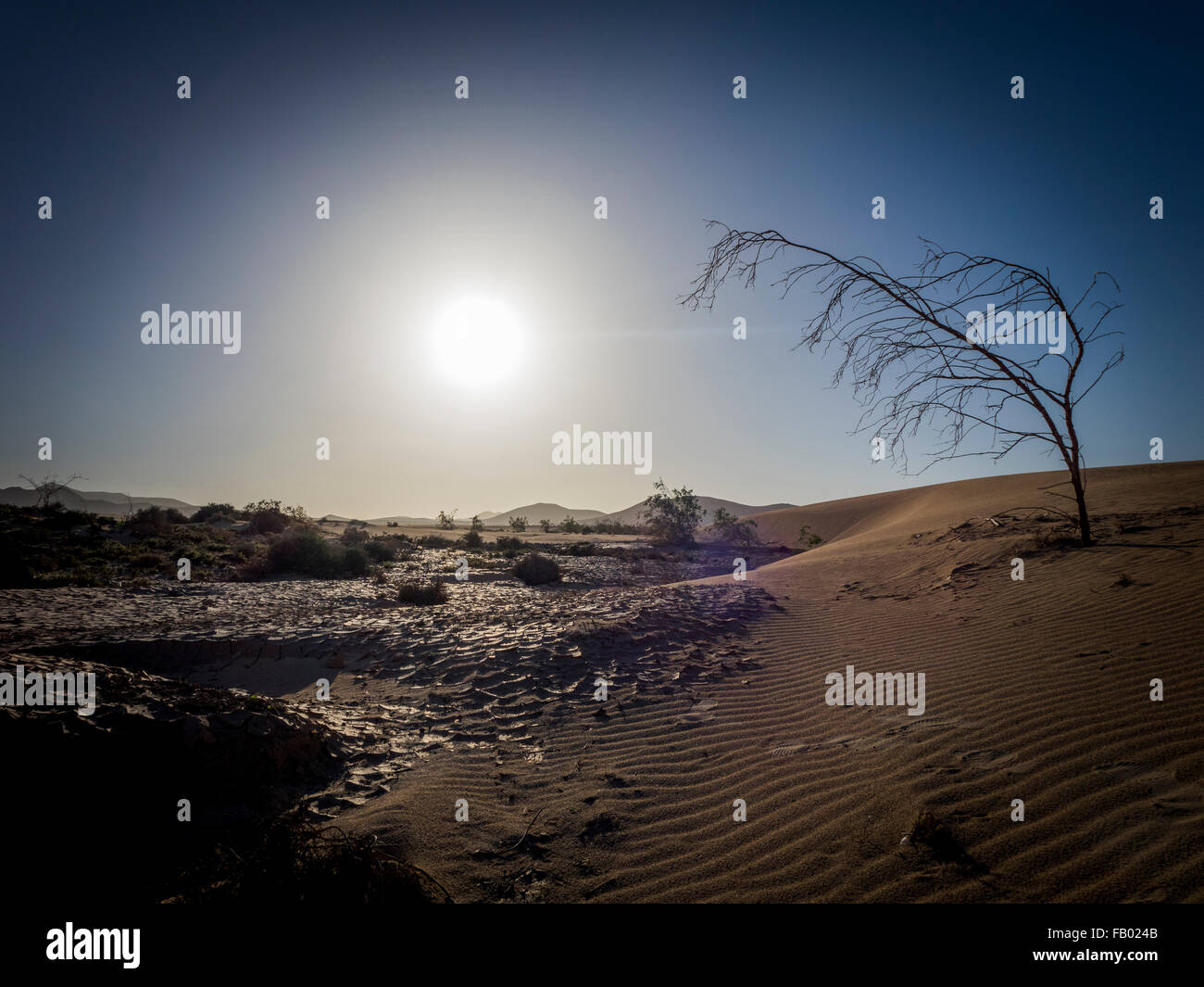Coucher de soleil avec des motifs de sable après le vent et la pluie sur la réserve naturelle, Parc Naturel, Corralejo, Fuerteventura, Îles Canaries. Banque D'Images