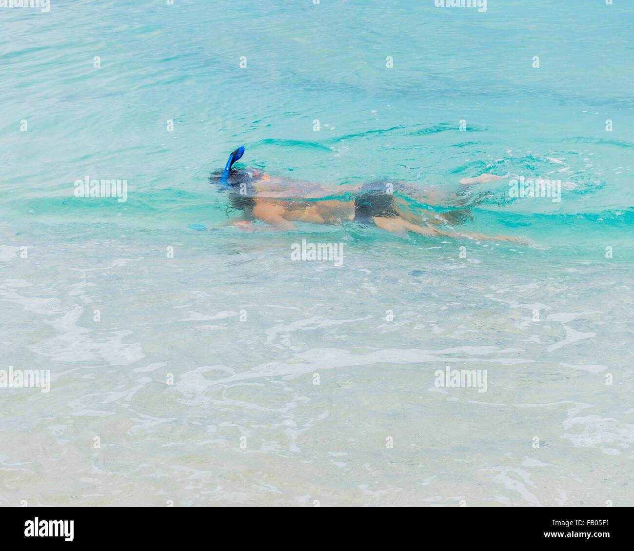 A 30 ans, femme, et tubas pour verre de mer dans les eaux peu profondes de la mer des Caraïbes, à Sainte-Croix, les Îles Vierges des États-Unis. Banque D'Images A 30 ans, femme, et tubas pour verre de mer dans les eaux peu profondes de la mer des Caraïbes, à Sainte-Croix, les Îles Vierges des États-Unis. Banque D'Images