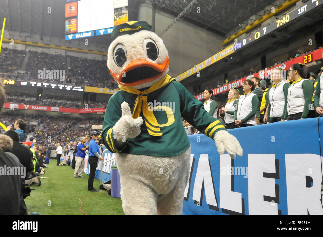 Les heures supplémentaires. 09Th Jan, 2016. L'Oregon Duck mascot durant la première moitié d'un match de football NCAA college dans l'Alamo Bowl entre le Valero TCU Horned Frogs et canards de l'Oregon à l'Alamodome de San Antonio, Texas. TCU a gagné 47-41 en prolongation. McAfee Austin/CSM/Alamy Live News Banque D'Images