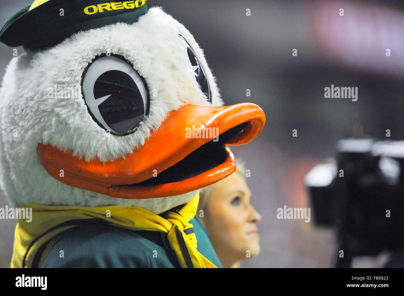 Les heures supplémentaires. 09Th Jan, 2016. L'Oregon Duck mascot durant la première moitié d'un match de football NCAA college dans l'Alamo Bowl entre le Valero TCU Horned Frogs et canards de l'Oregon à l'Alamodome de San Antonio, Texas. TCU a gagné 47-41 en prolongation. McAfee Austin/CSM/Alamy Live News Banque D'Images