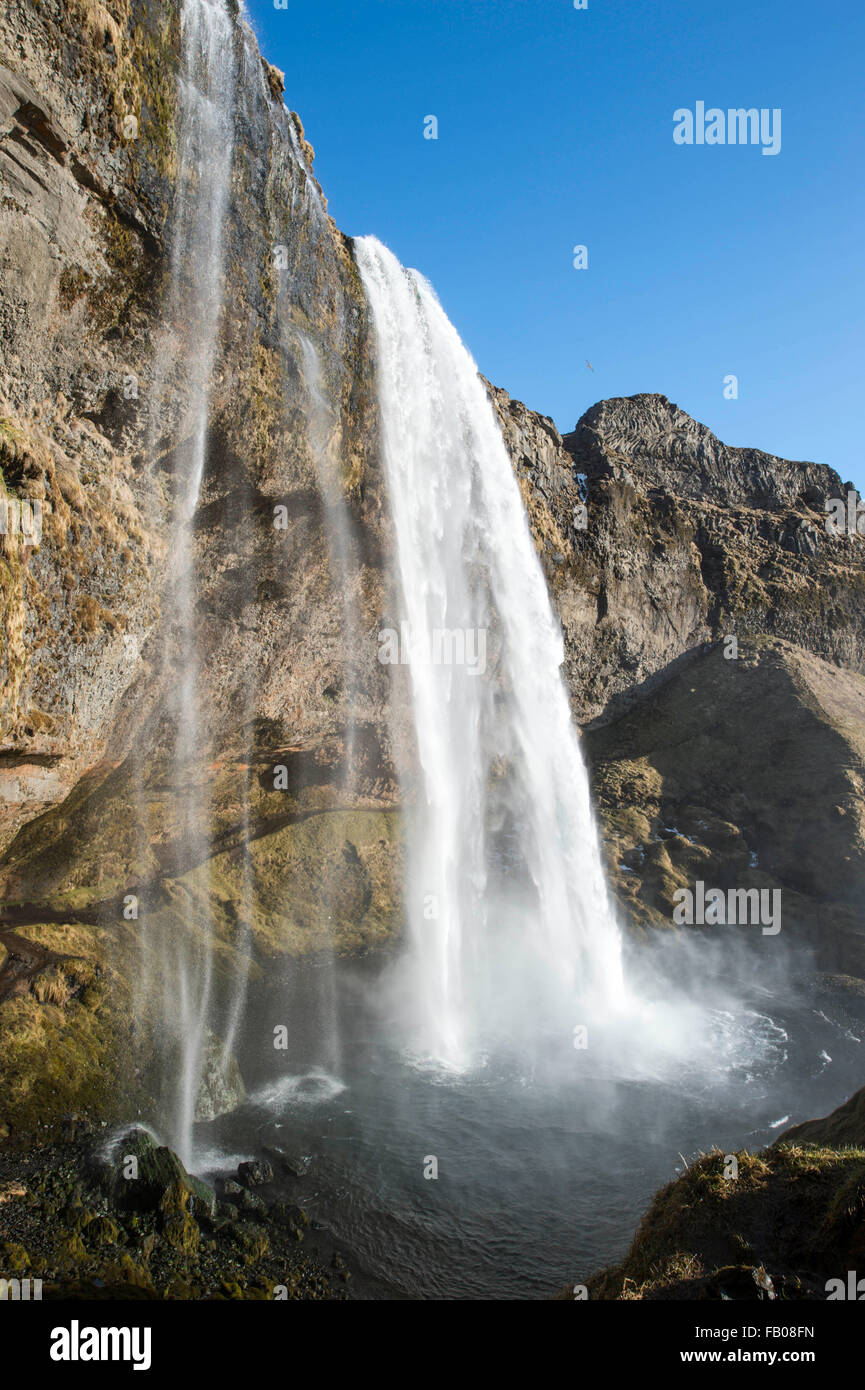 L'impressionnante cascade dans la campagne de l'Islande a appelé de Seljalandsfoss. Banque D'Images