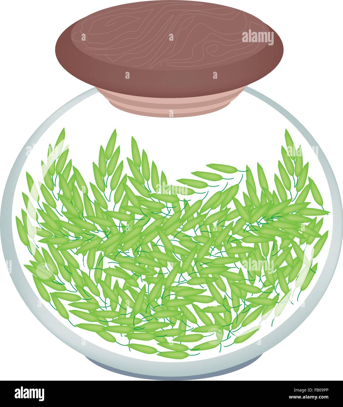 Les légumes, une illustration de riz vert frais dans un bocal en verre, bonne source de protéines végétales. Illustration de Vecteur