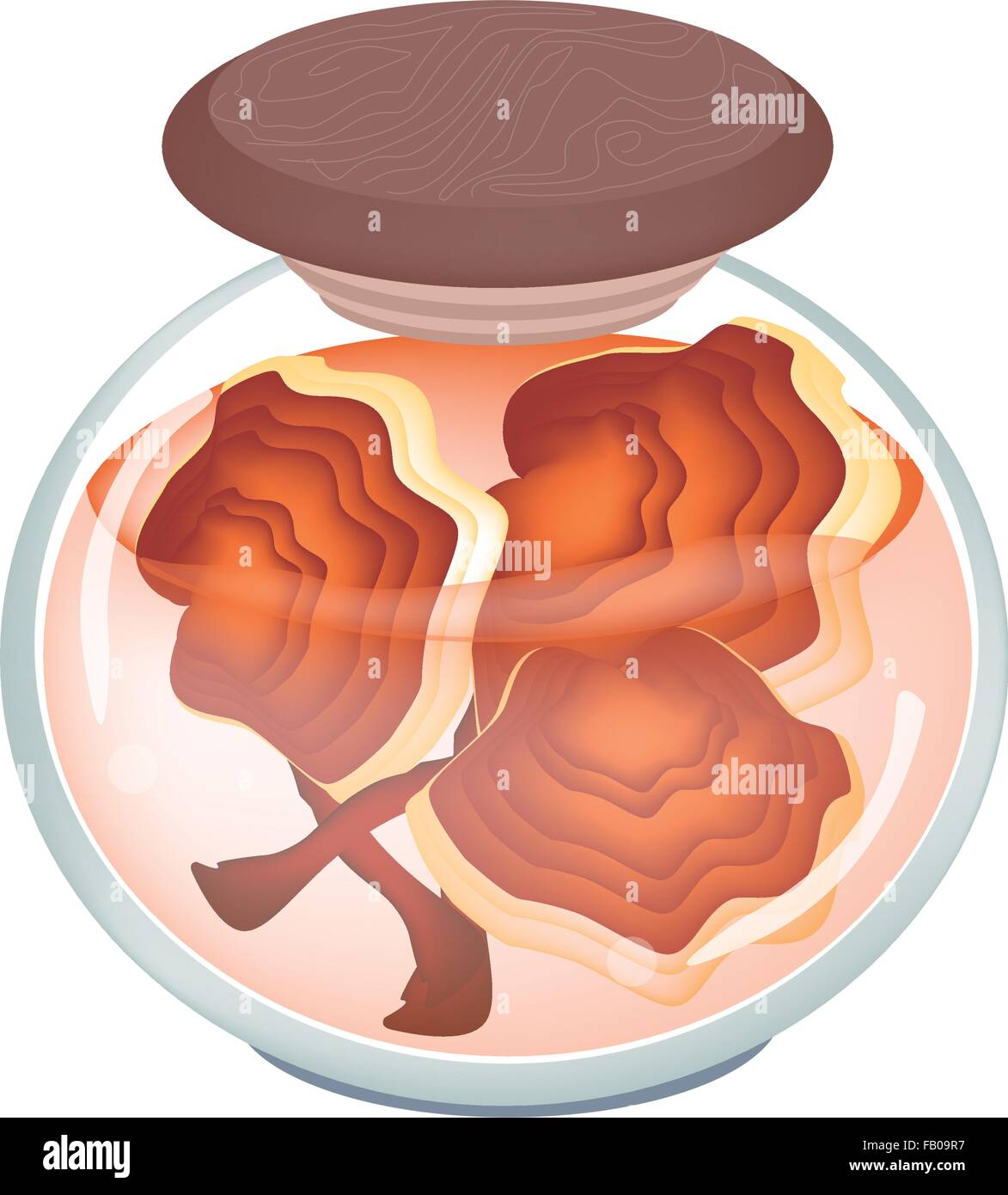 Illustration de conserves de légumes, Ganoderma lucidum ou Reishi, Ling Zhi de champignon dans un bocal de verre isolé sur fond blanc. Illustration de Vecteur