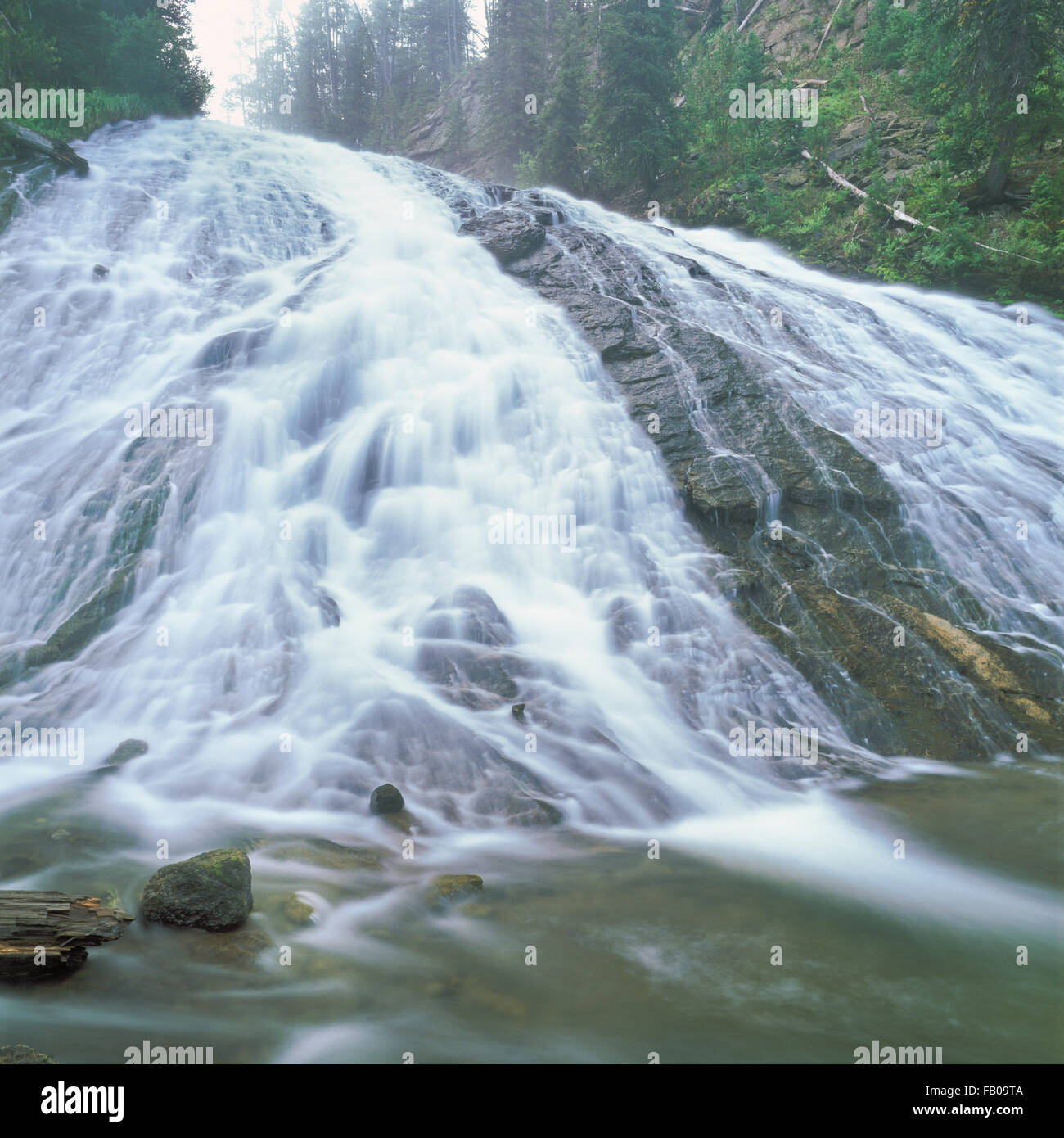 Virginie cascades dans le parc national de Yellowstone, Wyoming Banque D'Images