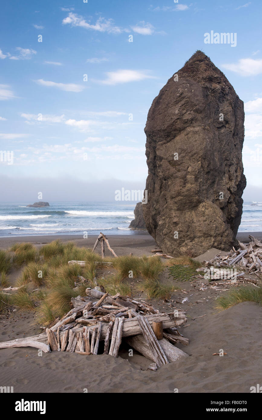 Bois flotté sur la côte de l'Oregon près les formations rocheuses sur la plage à Pistol River State Scenic Viewpoint. Banque D'Images