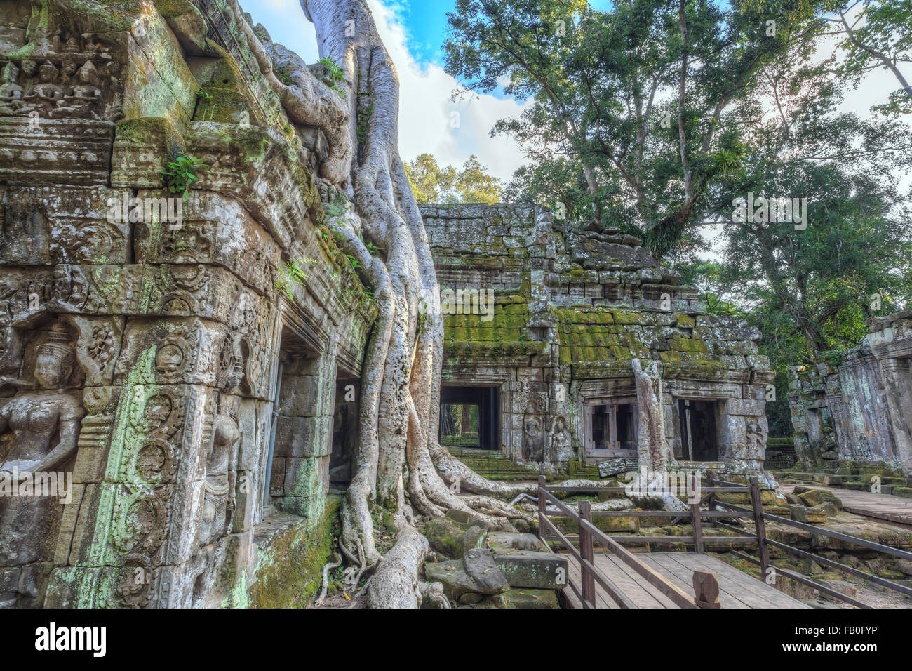 Ta Prohm temple à Angkor Wat, Siem Reap Cambodge Banque D'Images
