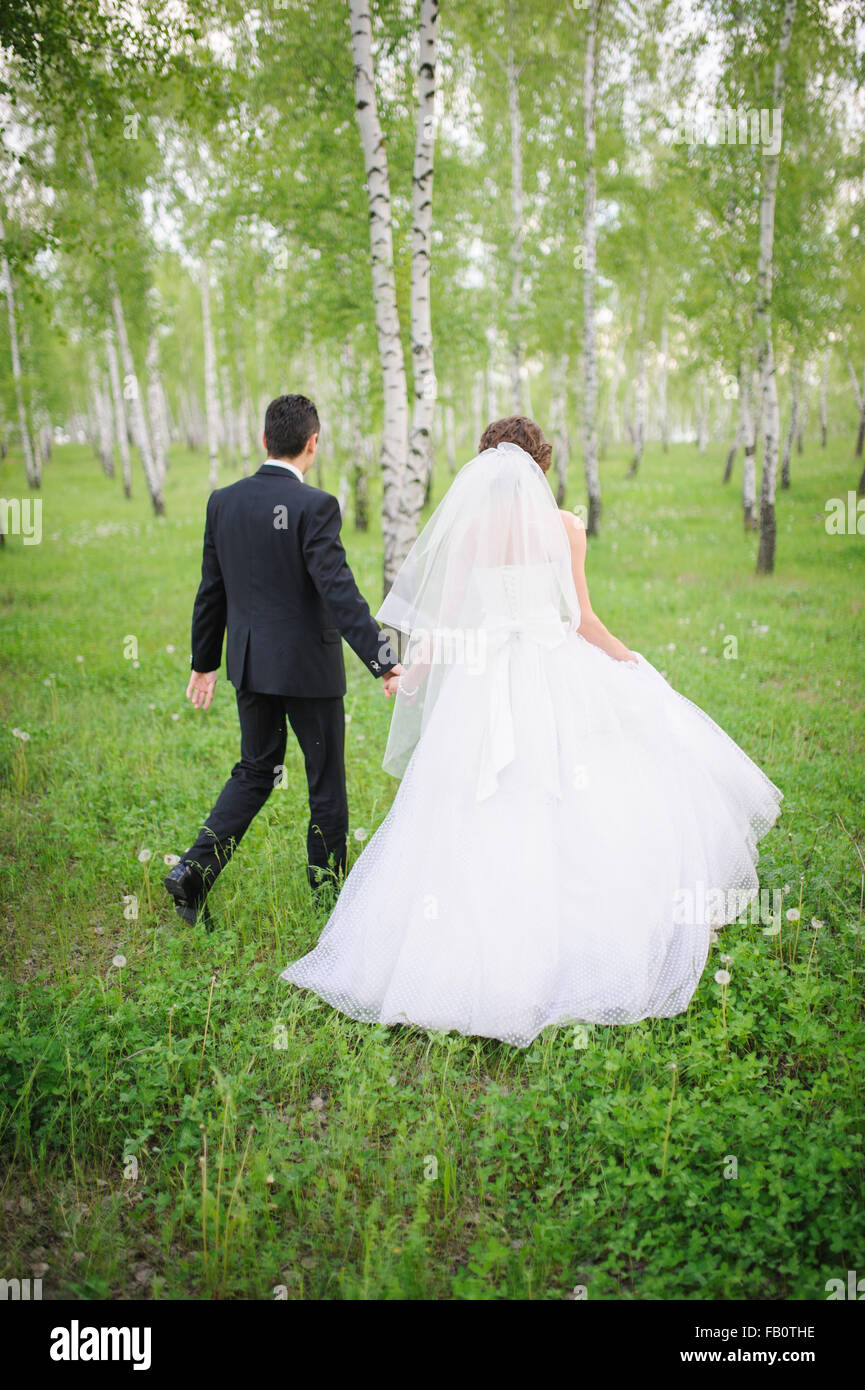 Une nouvelle mariée couple walking through forest, holding hands Banque D'Images