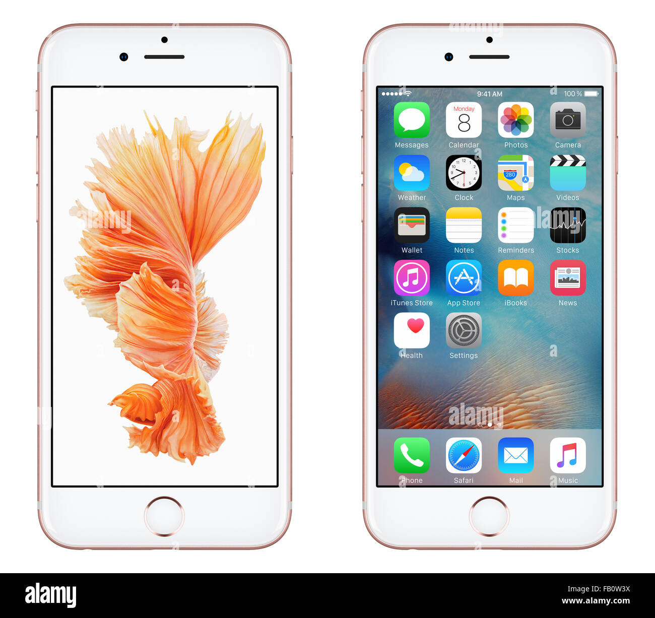 Varna, Bulgarie - 24 octobre 2015 : vue avant de l'Or Rose Apple iPhone 6S avec iOS 9 le système d'exploitation mobile. Banque D'Images