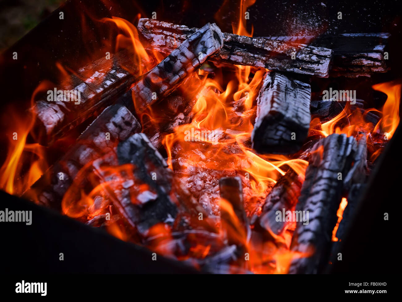 Brûler du bois dans un brasero, Close up Banque D'Images