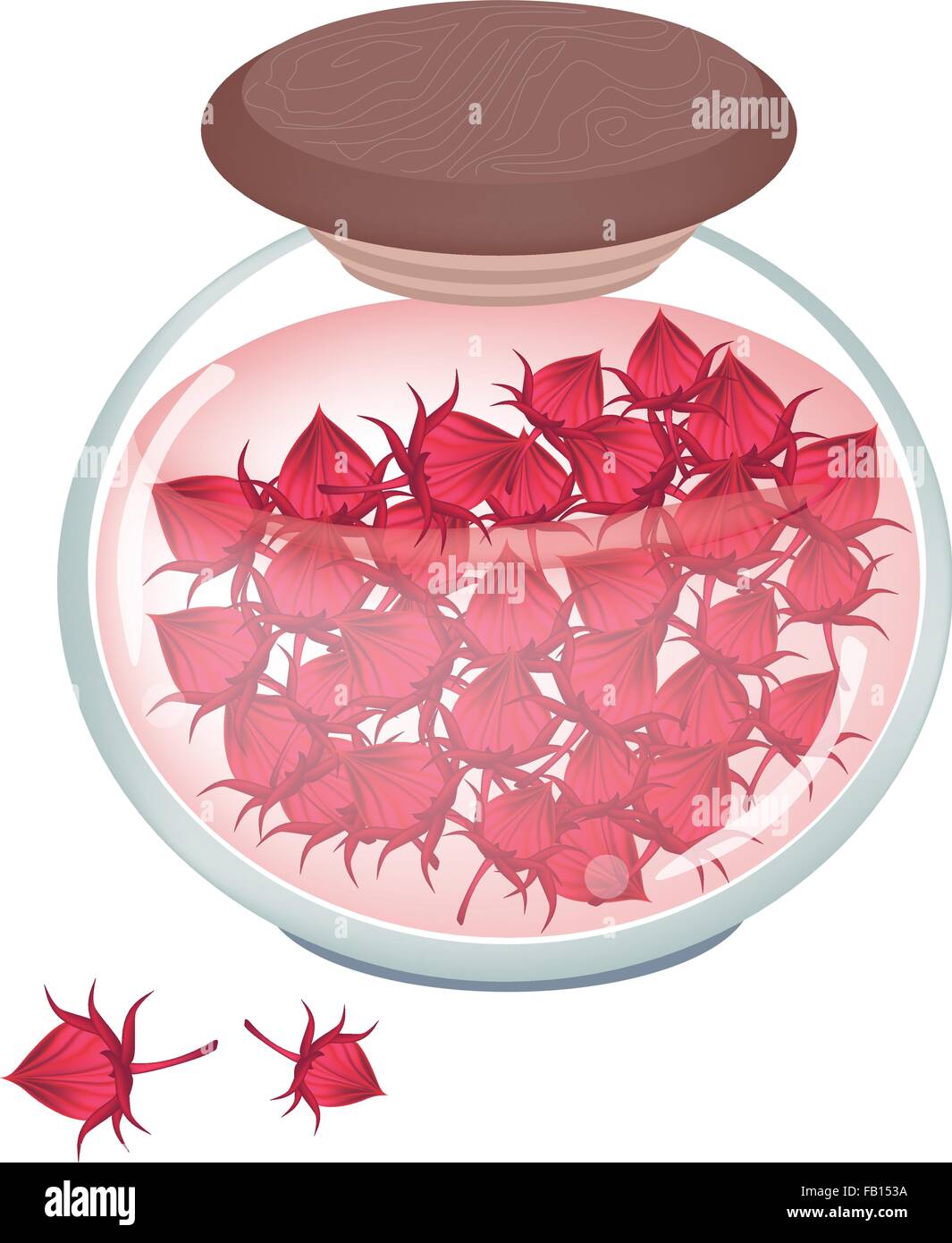L'alimentation et de l'herbe, une illustration préservée Hibiscus Sabdariffa Roselle ou fruits dans un pot de verre. Illustration de Vecteur