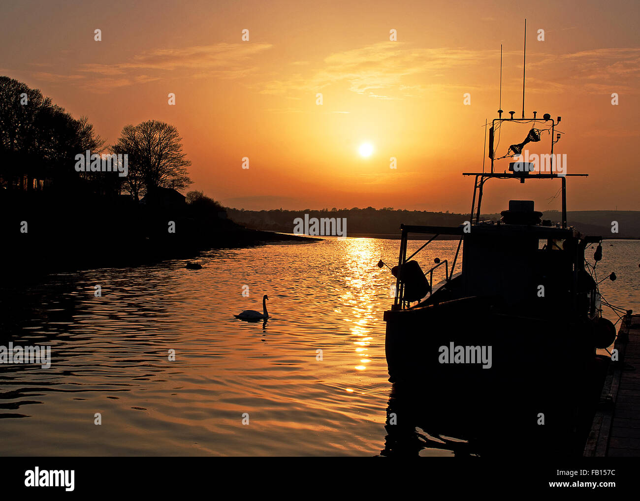 Nage Swan au-delà d'un bateau de pêche amarré au coucher du soleil dans Courtmacsherry, West Cork, Irlande avec copie espace idéal, couverture de livre. Banque D'Images