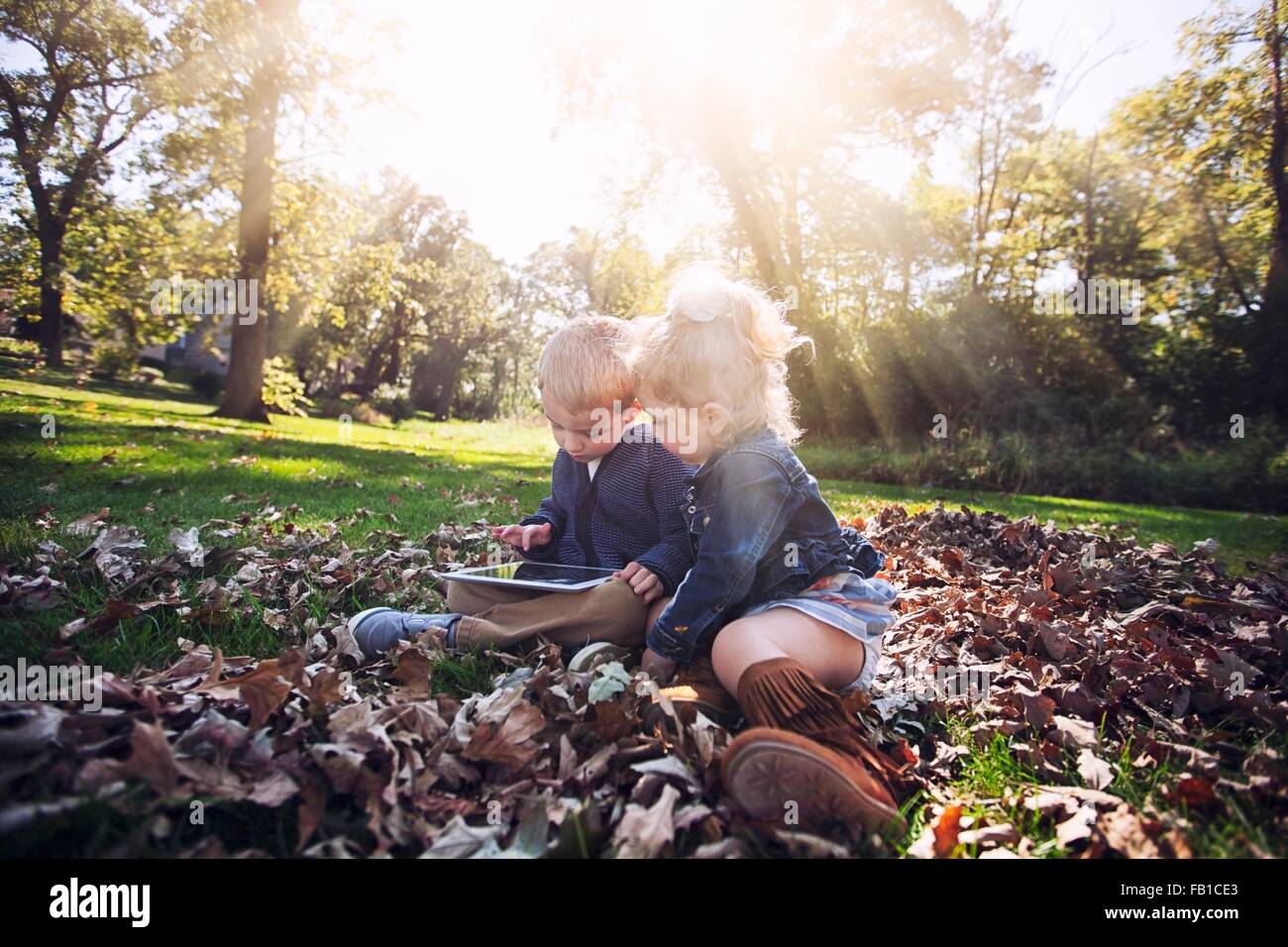 Des enfants assis sur l'herbe couverte de feuilles d'automne à la recherche vers le bas à l'aide de tablette numérique Banque D'Images