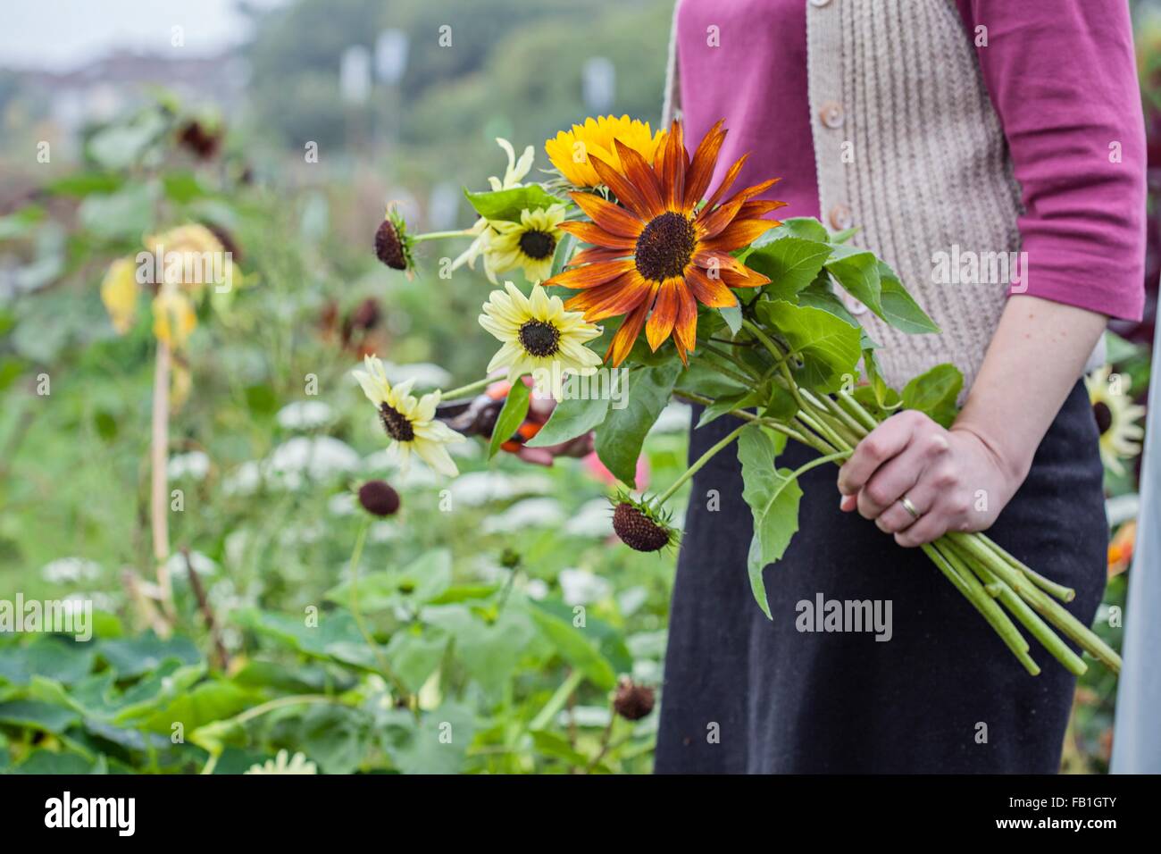Portrait de femme à l'attribution des fleurs fraîches de coupe Banque D'Images