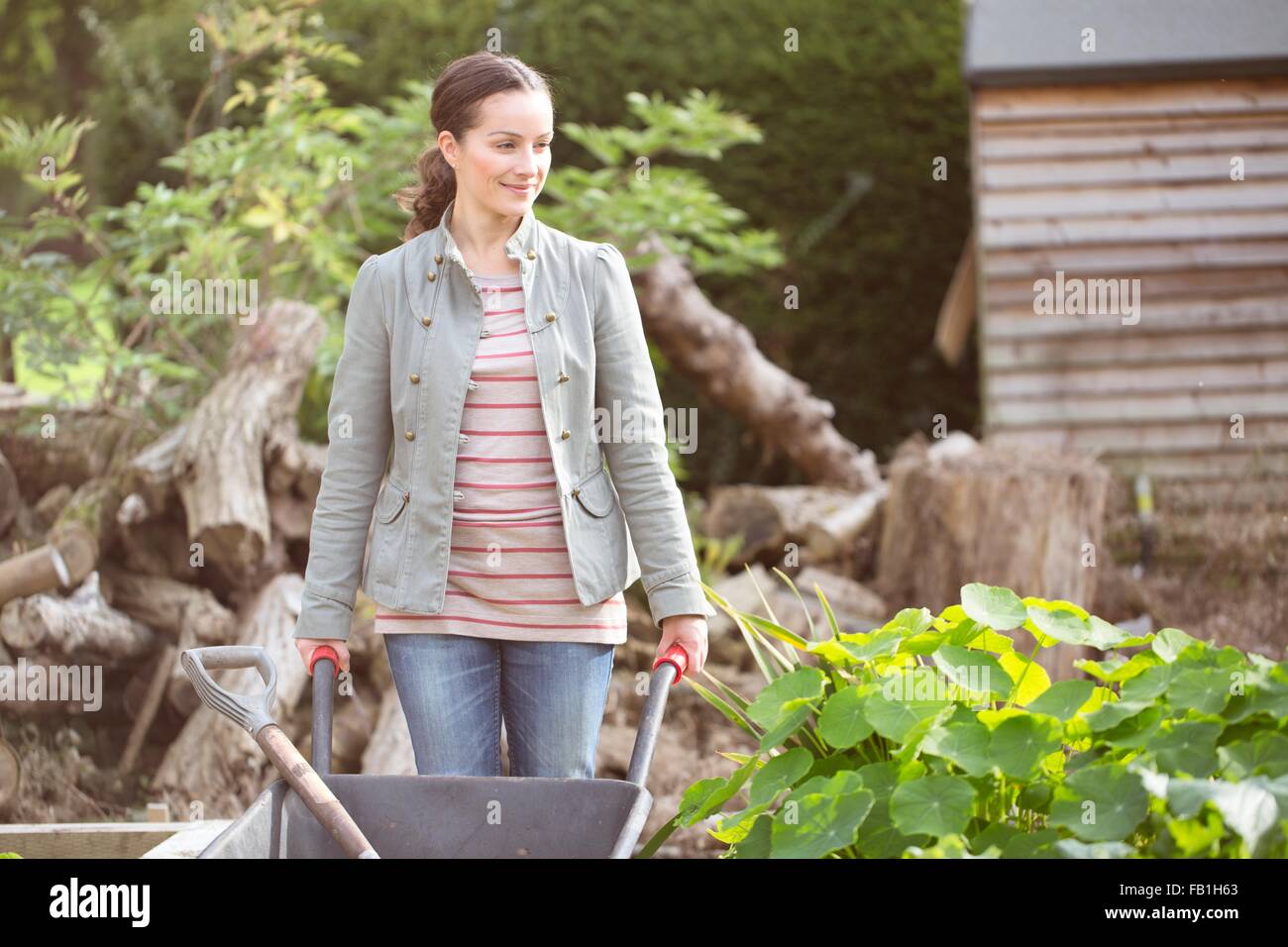 Jardinier femelle pushing wheelbarrow rustique dans le jardin organique Banque D'Images