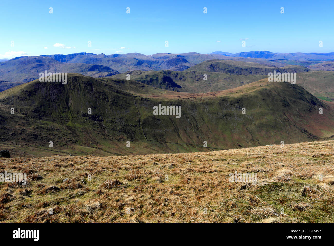 Le sommet de printemps, reste Dodd et la NAB Fells, Commune Martindale valley, Parc National de Lake District, Cumbria, England, UK. Banque D'Images